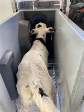 Calf-Star Instant Calf Feeding Facility